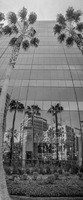 All content © 2023 Larry Shapiro. All rights reserved.