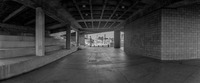 All content © 2023 Larry Shapiro. All rights reserved.