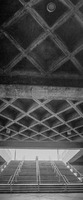 All content © 2023 Larry Shapiro. All rights reserved.