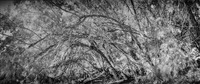 All content © 2023 Larry Shapiro. All rights reserved.
