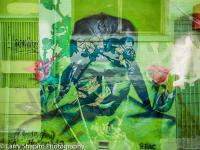 All content © 2023 Larry Shapiro. All rights reserved.