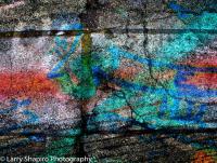 All content © 2023 Larry Shapiro. All rights reserved.