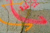 All content © 2023 Larry Shapiro. All rights reserved.
