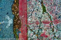 All content © 2023 Larry Shapiro. All rights reserved.