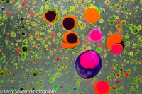 Suminagashi -27170724.jpg