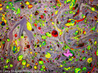 Suminagashi -26170719.jpg