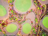 Suminagashi -24170719.jpg