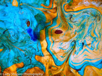 Suminagashi -14170417.jpg