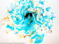 Suminagashi -9170414.jpg