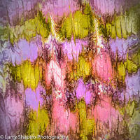 Falling leaves171213.jpg