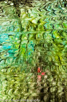 Fire in the Mountain180125.jpg