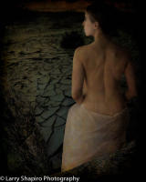 All content © 2023 Larry Shapiro. All rights reserved.