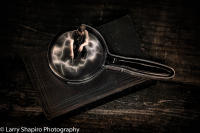 All content © 2023 Larry Shapiro. All rights reserved.