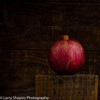 All content © Larry Shapiro. All rights reserved.
