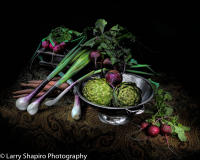 All content © Larry Shapiro. All rights reserved.