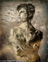 All content © 2023 Larry Shapiro. All rights reserved.