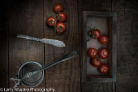 All content © Larry Shapiro. All rights reserved.