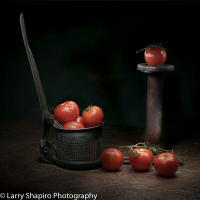 All content © Larry Shapiro. All rights reserved.