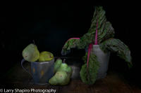 All content © Larry Shapiro. All rights reserved.