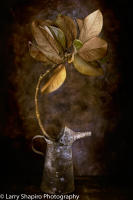 All content © Larry Shapiro. All rights reserved.