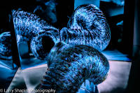 All content © 2023 Larry Shapiro. All rights reserved.