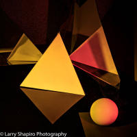 All content © 2023 Larry Shapiro. All rights reserved.