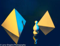 All content © 2023 Larry Shapiro. All rights reserved.