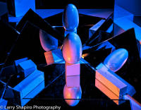 All content © 2023 Larry Shapiro. All rights reserved.