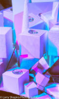All content © 2023 Larry Shapiro. All rights reserved.