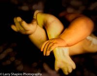 All content © 2021 Larry Shapiro. All rights reserved.