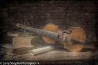 All content © 2021 Larry Shapiro. All rights reserved.