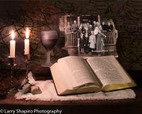 All content © 2021 Larry Shapiro. All rights reserved.