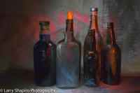 All content © Larry Shapiro. All rights reserved.
