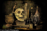 All content © Larry Shapiro. All rights reserved.