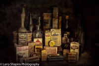 All content © Larry Shapiro. All rights reserved.