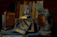 All content © Larry Shapiro. All rights reserved.