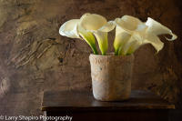 All content © 2021 Larry Shapiro. All rights reserved.