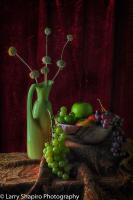 All content © 2021 Larry Shapiro. All rights reserved.