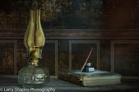 All content © Larry Shapiro. All rights reserved.