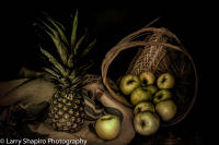 All content © Larry Shapiro. All rights reserved.