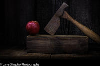 All content © Larry Shapiro. All rights reserved.