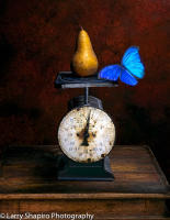 All content © Larry Shapiro. All rights reserved.