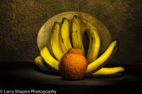 All content © Larry Shapiro. All rights reserved.