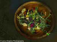 All content © Larry Shapiro. All rights reserved.