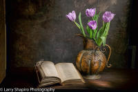 All content © Larry Shapiro. All rights reserved.