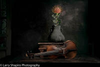All content © Larry Shapiro. All rights reserved.