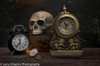 All content © Larry Shapiro. All rights reserved.