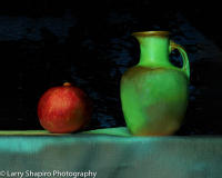 All content © Larry Shapiro. All rights reserved.