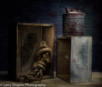 All content © Larry Shapiro. All rights reserved.