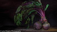 All content © Larry Shapiro. All rights reserved.